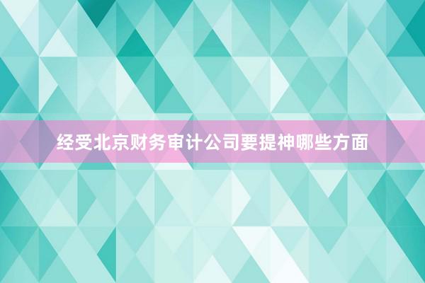 经受北京财务审计公司要提神哪些方面