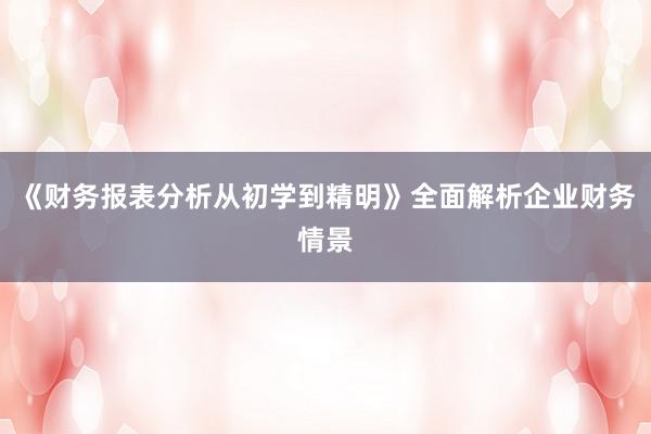 《财务报表分析从初学到精明》全面解析企业财务情景
