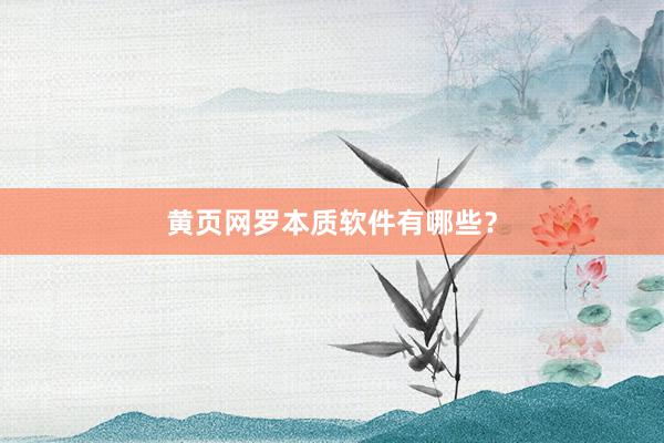 黄页网罗本质软件有哪些？