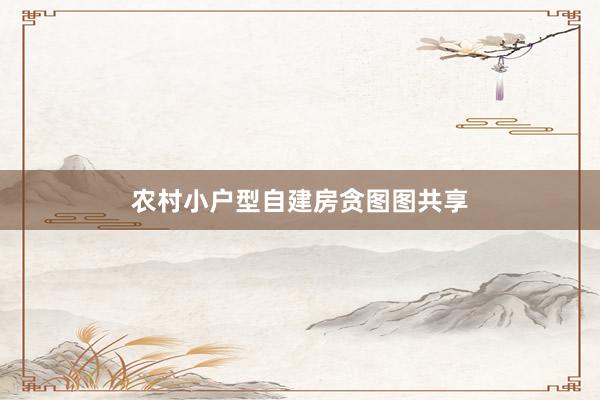 农村小户型自建房贪图图共享