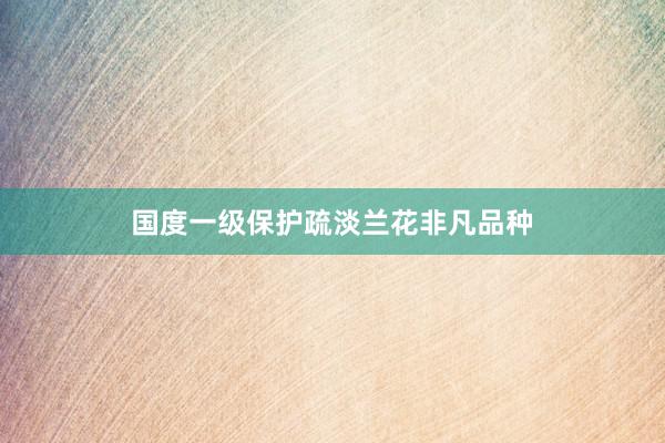 国度一级保护疏淡兰花非凡品种