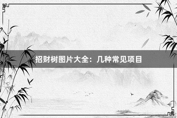 招财树图片大全：几种常见项目