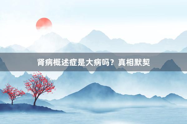 肾病概述症是大病吗？真相默契