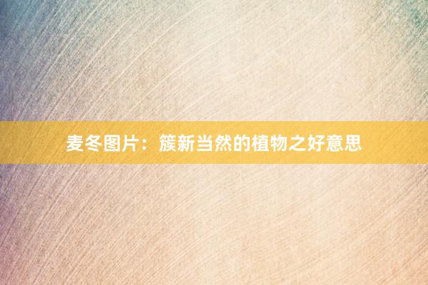 麦冬图片：簇新当然的植物之好意思